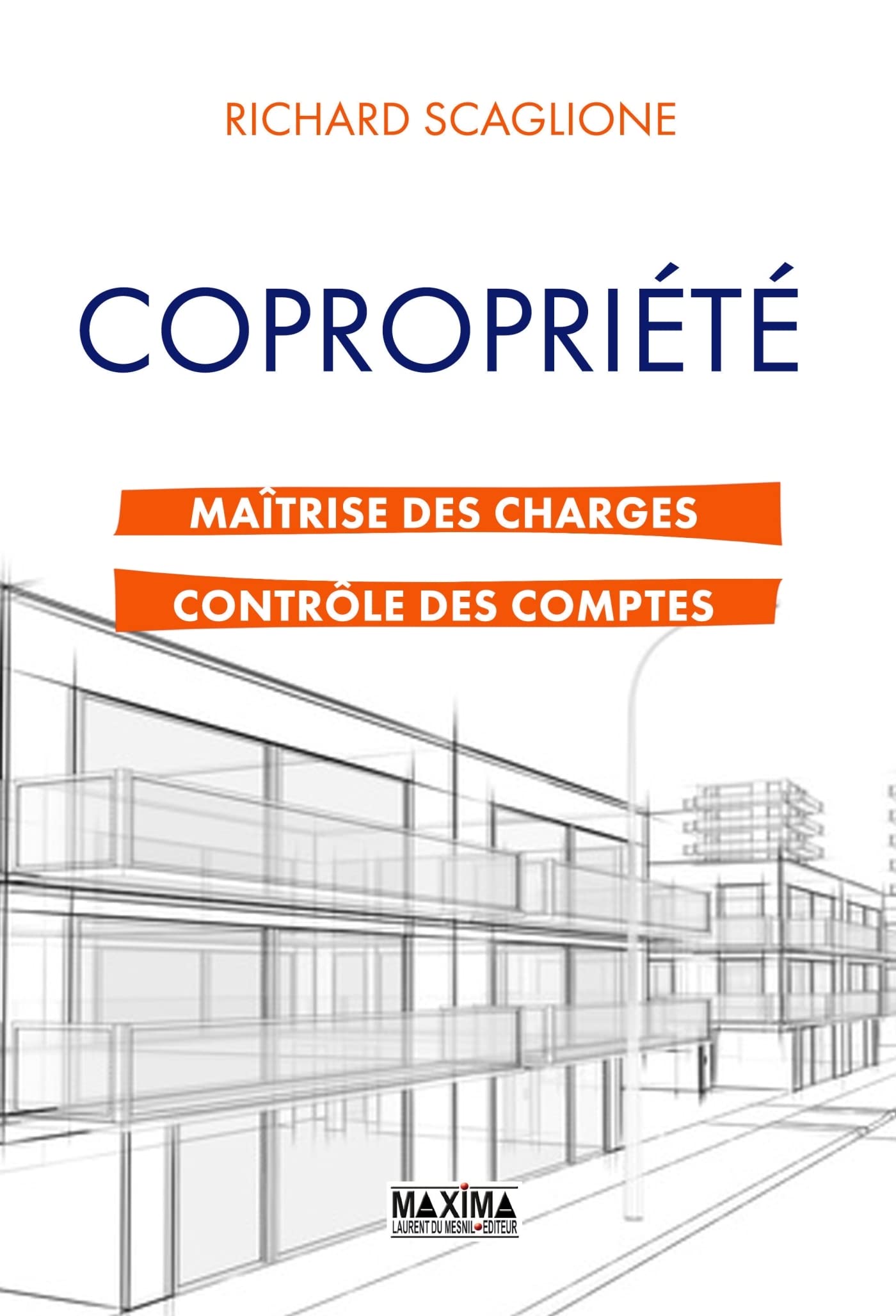 Copropriété maîtrise des charges et contrôle des comptes book