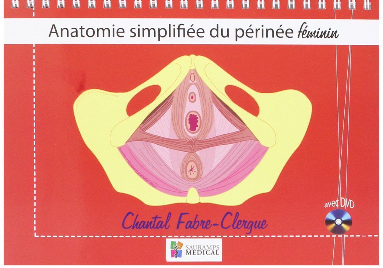 Anatomie simplifiée du périnée féminin Medicine