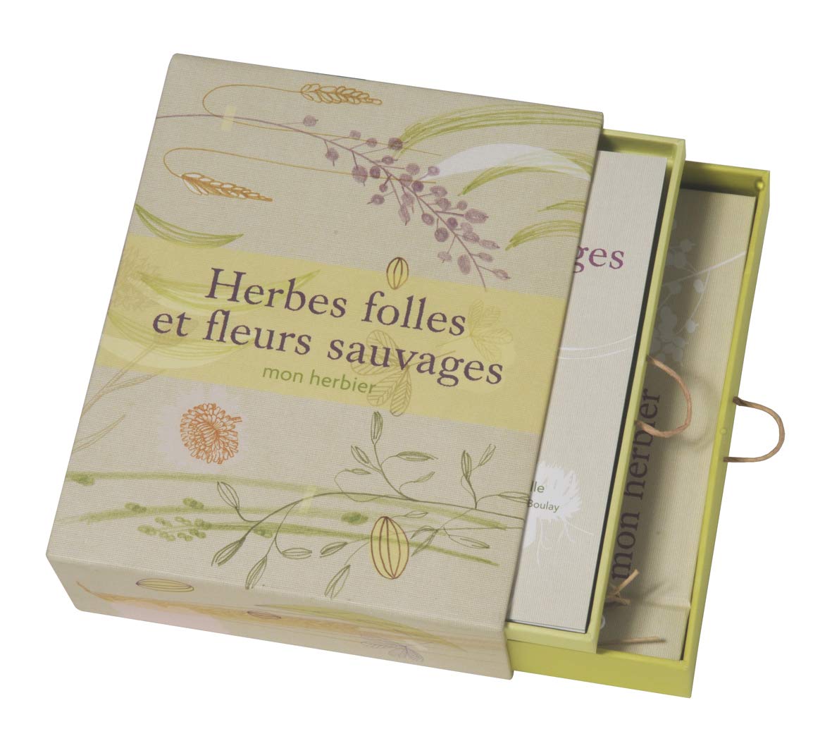 Herbes folles et fleurs sauvages: Coffret Mon herbier Leisure, Home & Garden
