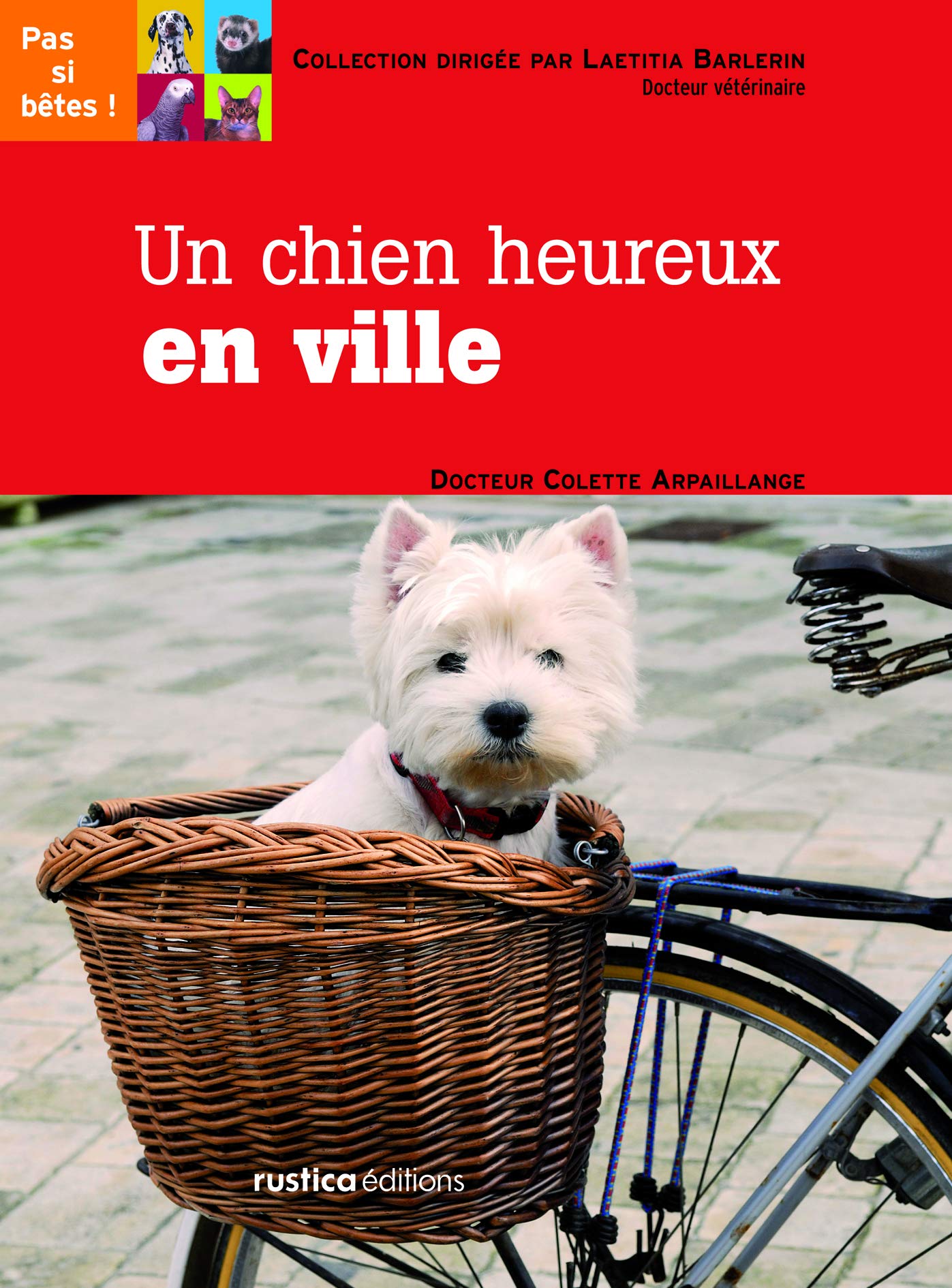 Un chien heureux en ville book