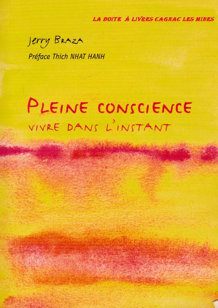 Pleine conscience : Vivre dans l'instant: Guide pratique au quotidien book