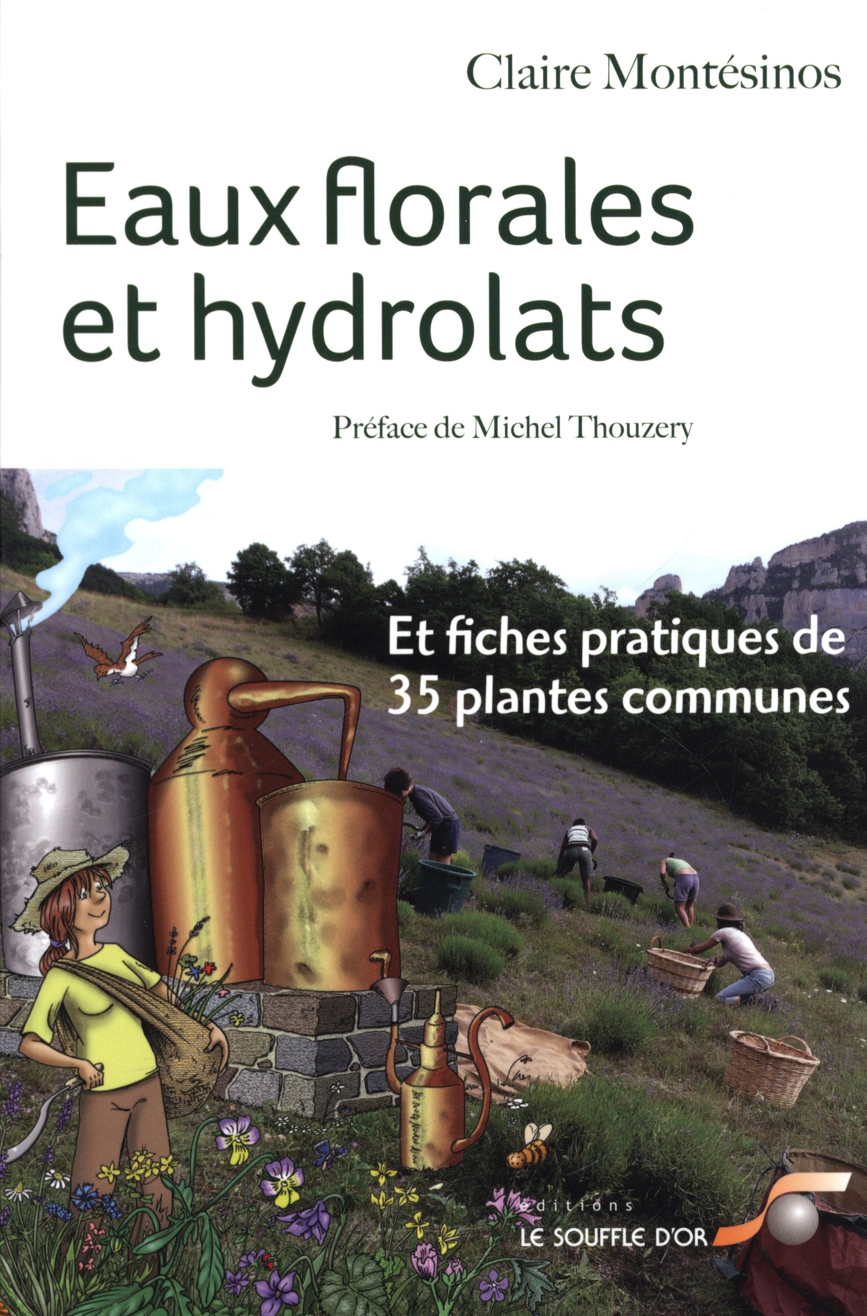Eaux florales et dydrolats: Et fiches pratiques de 35 plantes communes Books