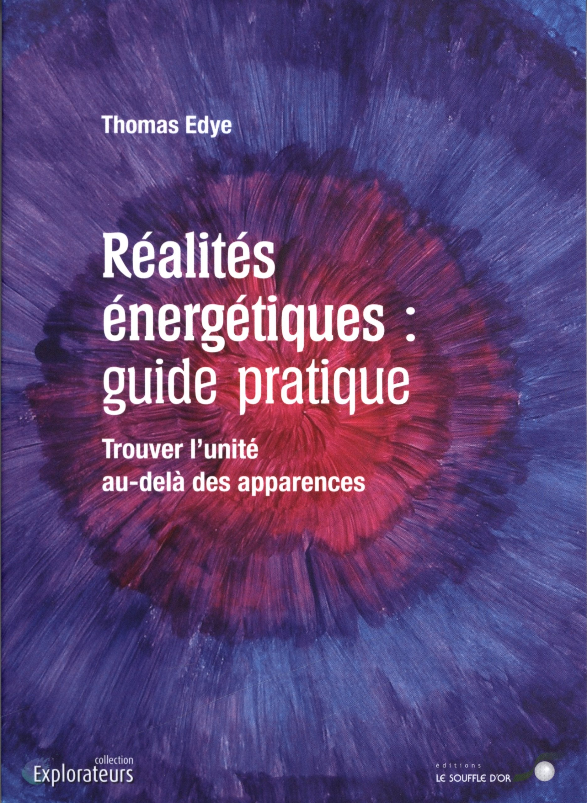Réalités énergétiques : guide pratique - Trouver l'unité au-delà des apparences book