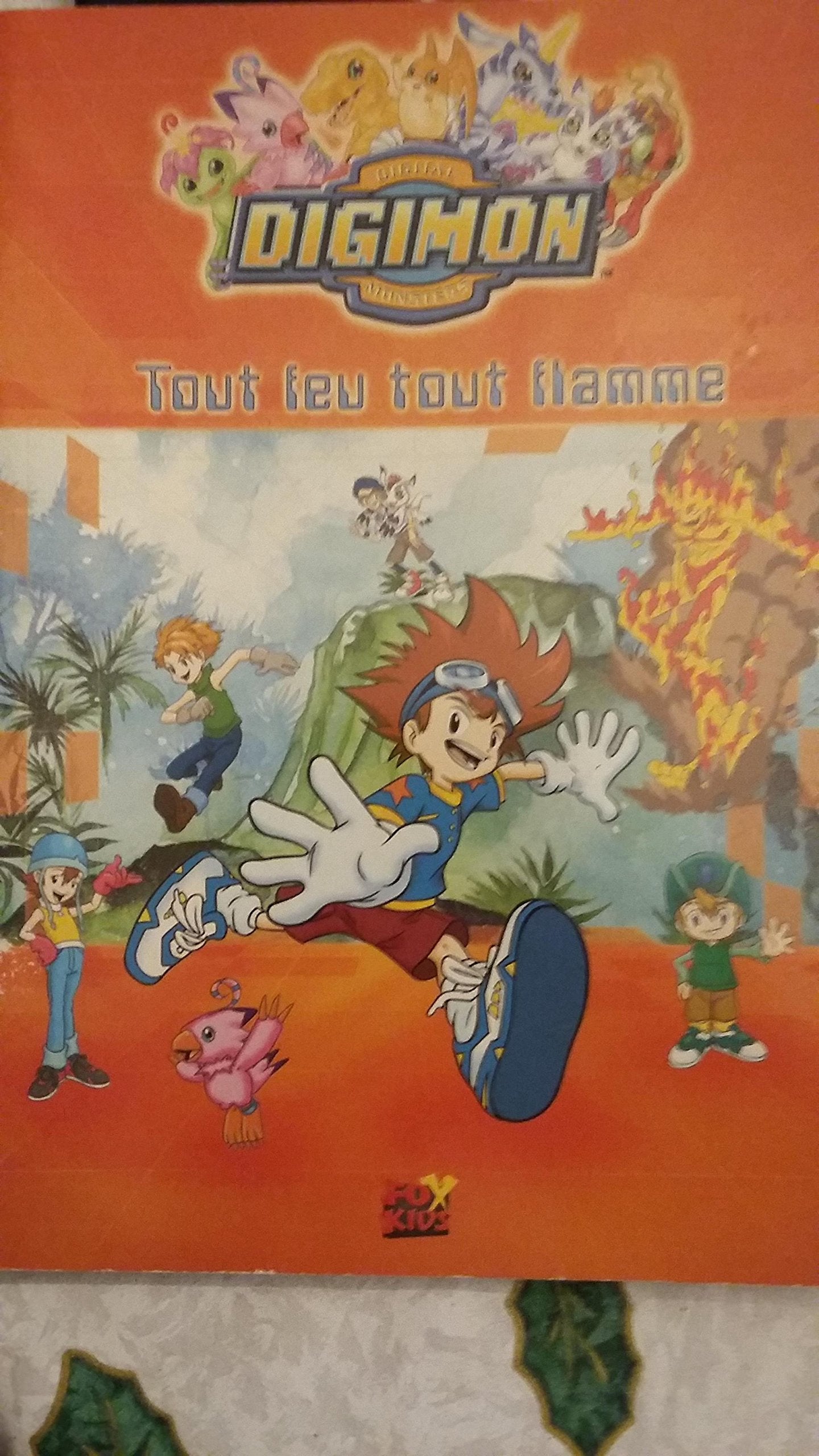 Tout Feu Tout Flamme Books