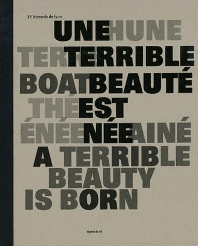 11th Lyon Biennale - A Terrible Beauty is Born: 11e biennale de Lyon Film, Art & Culture