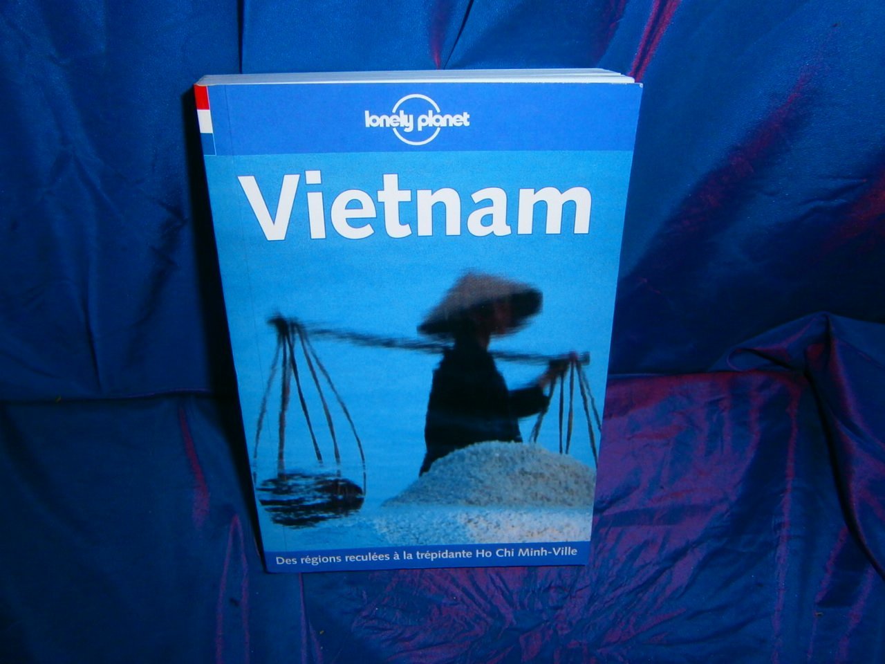 Vietnam (Lonely Planet Travel Guides French Edition) Leisure, Home & Garden