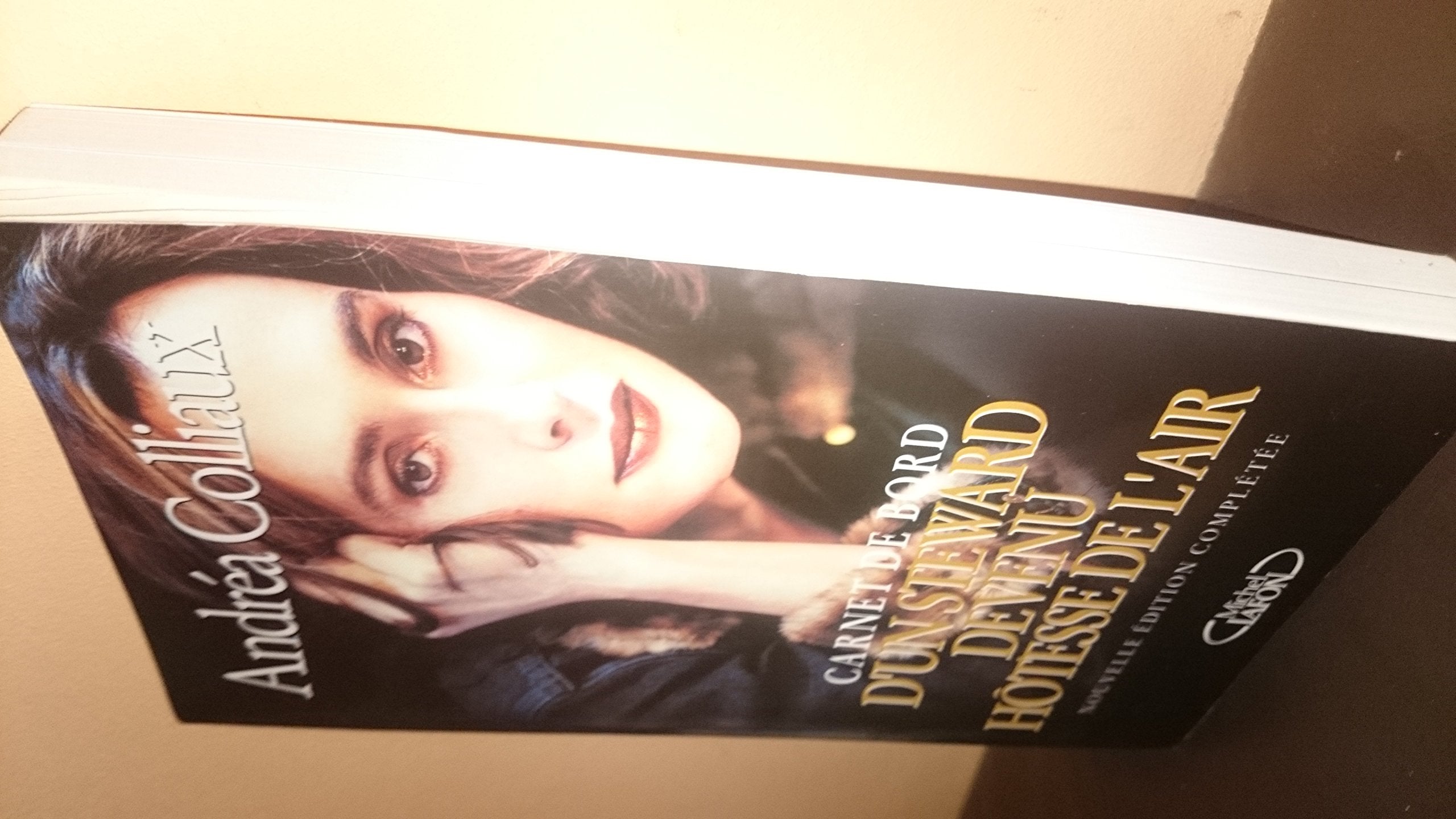 CARNET BORD STEWART DEVENU NE book
