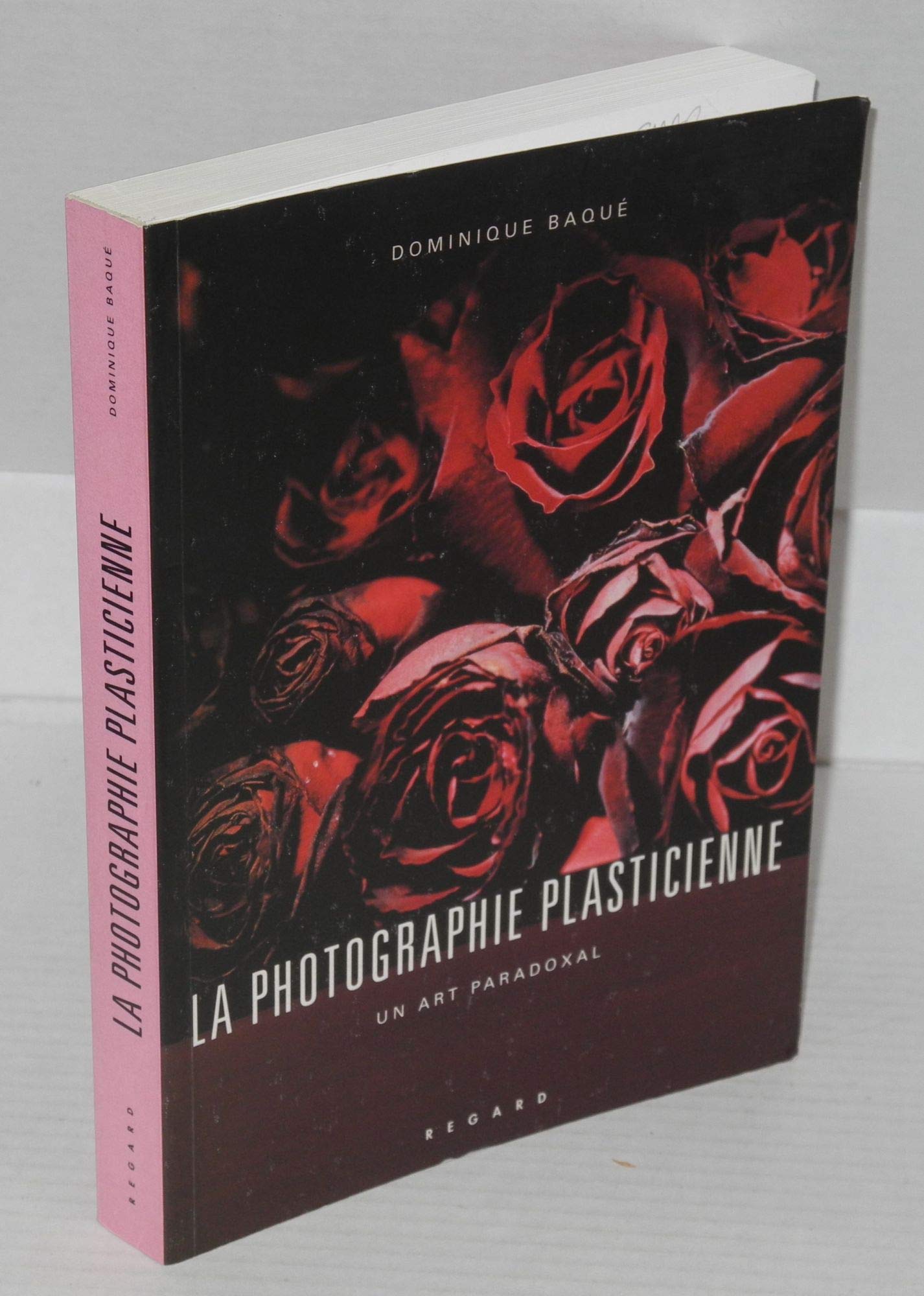 La photographie plasticienne : un art paradoxal book