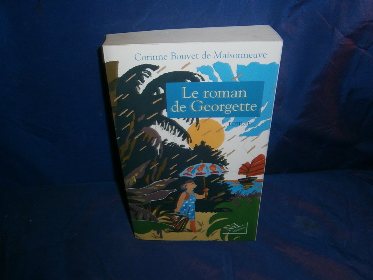 Le roman de Georgette book