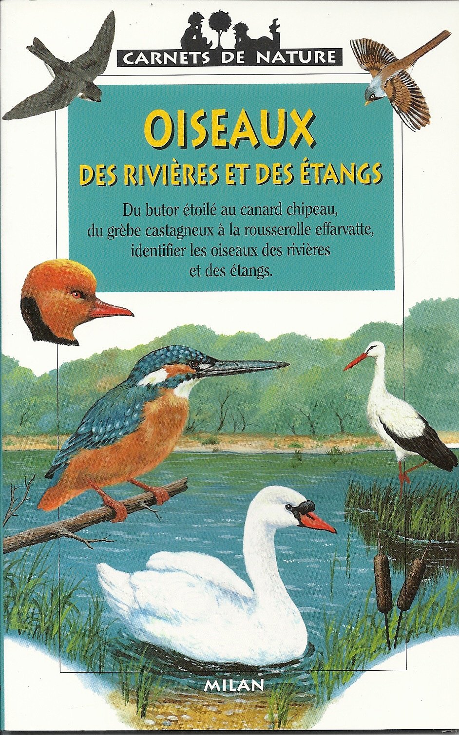 Oiseaux des rivières et des étangs Books