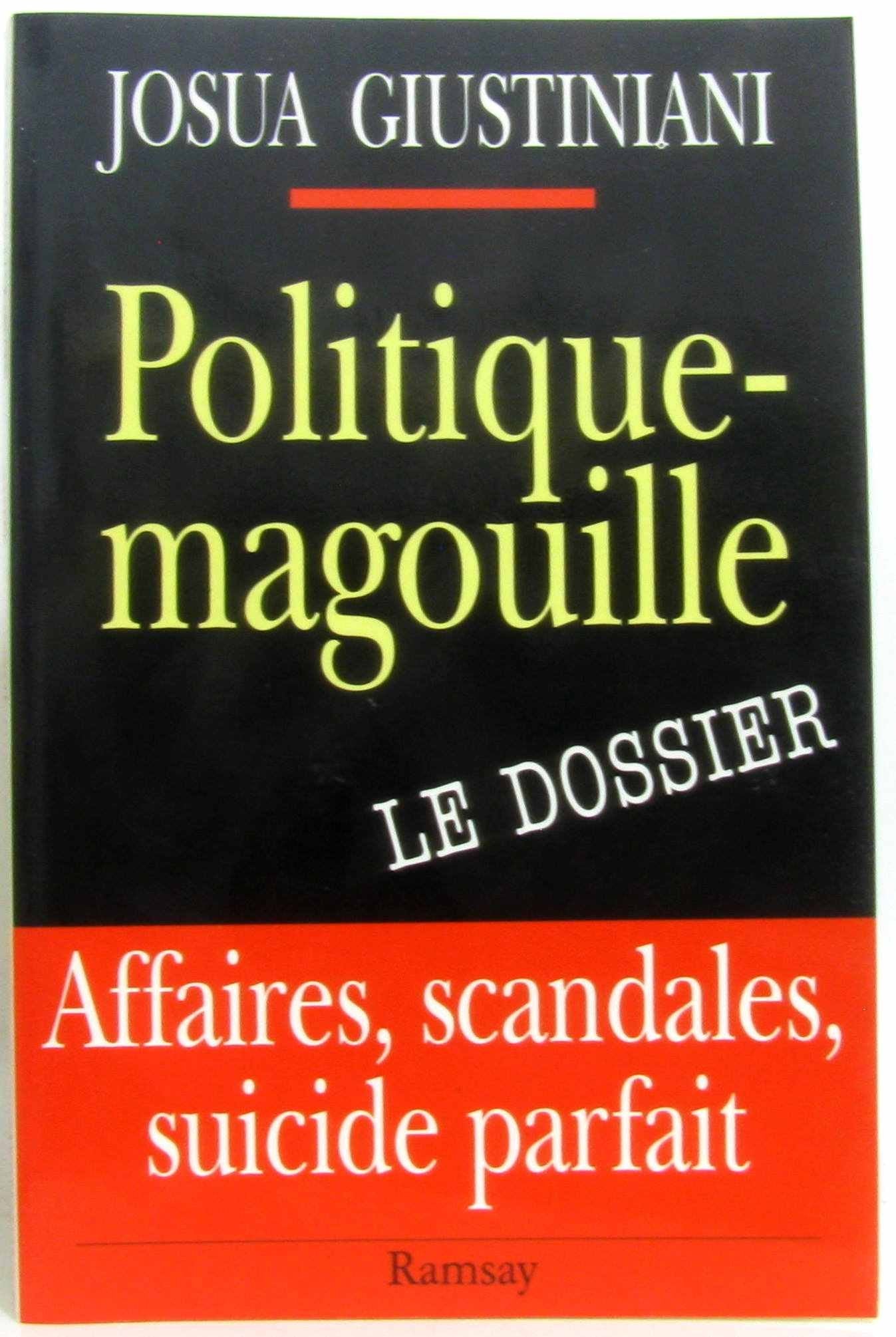 Politique-magouille book