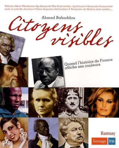 Citoyens visibles: Quand l'histoire de France affiche ses couleurs book