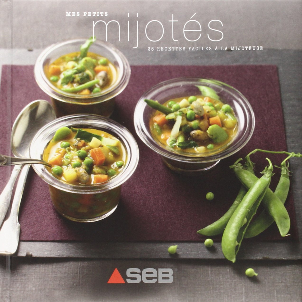 Mes petits mijotés: 25 recettes faciles à la mijoteuse Books