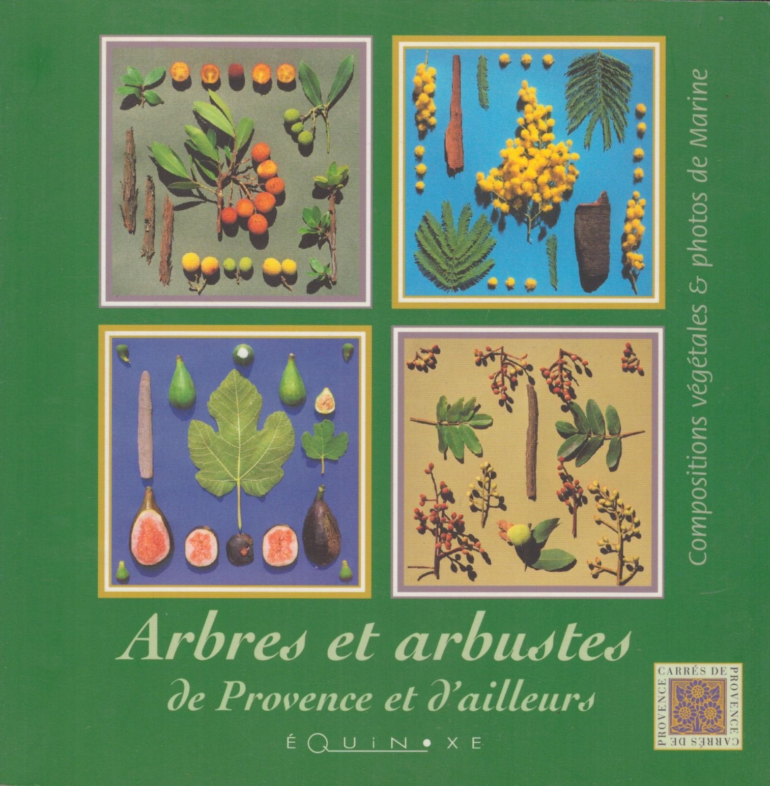 Arbres et arbustes de Provence et d'ailleurs book