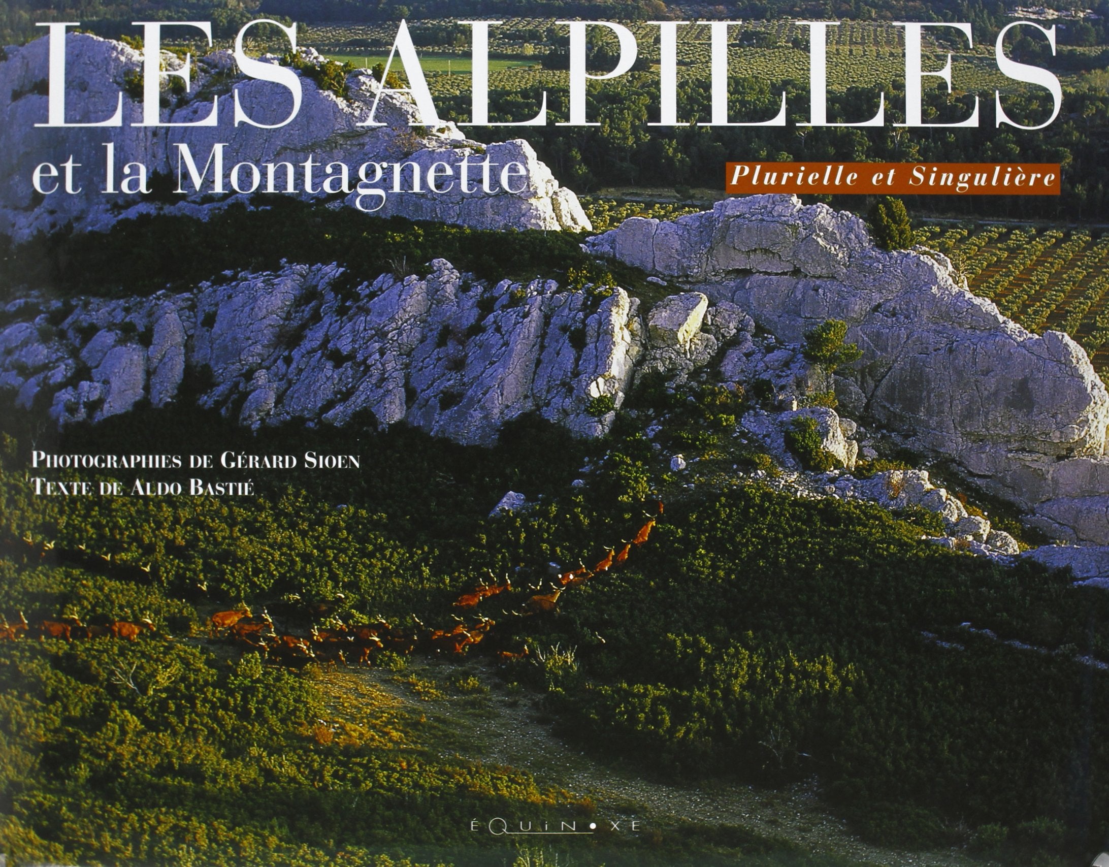 Les Alpilles et la Montagnette: Plurielle et Singulière Leisure, Home & Garden