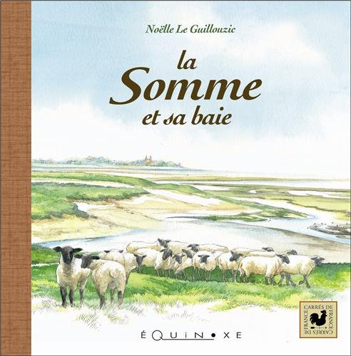 La Somme et sa baie book