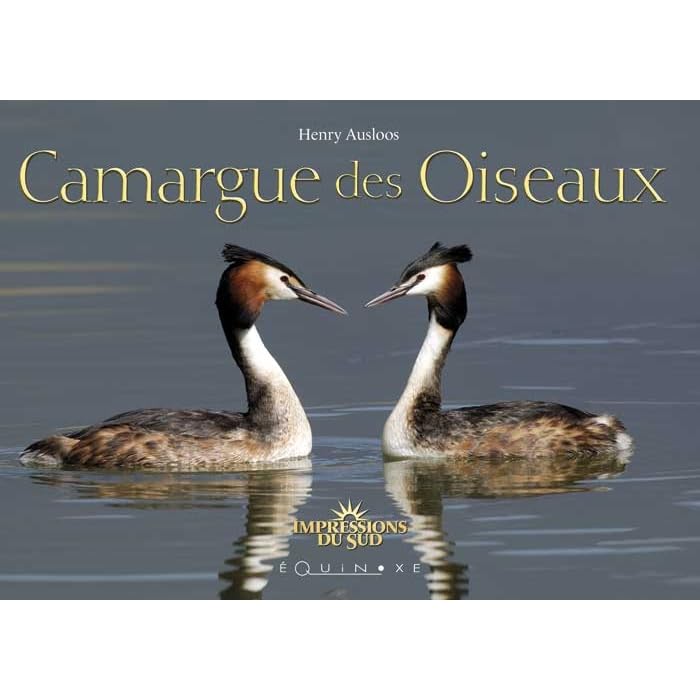 Camargue des oiseaux Leisure, Home & Garden