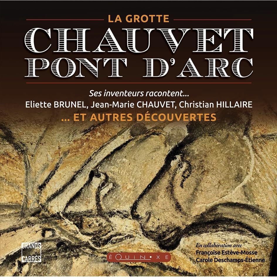 La grotte Chauvet-Pont d'Arc et autres découvertes: Ses inventeurs racontent... book