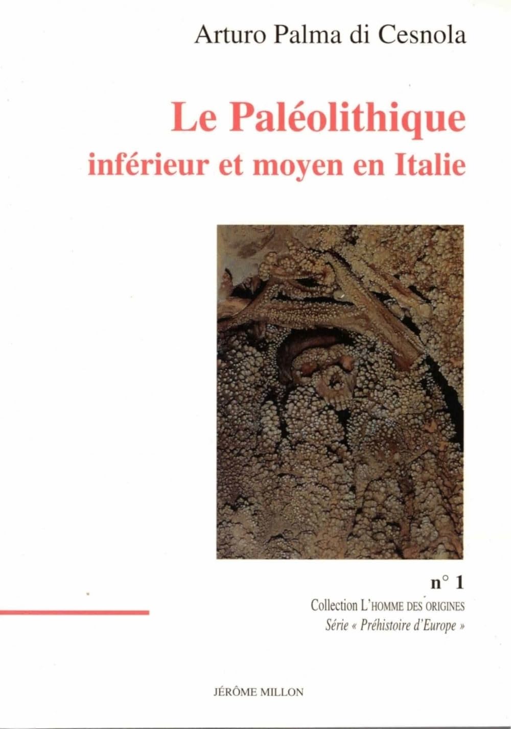 Le paléolithique inférieur et moyen en Italie book