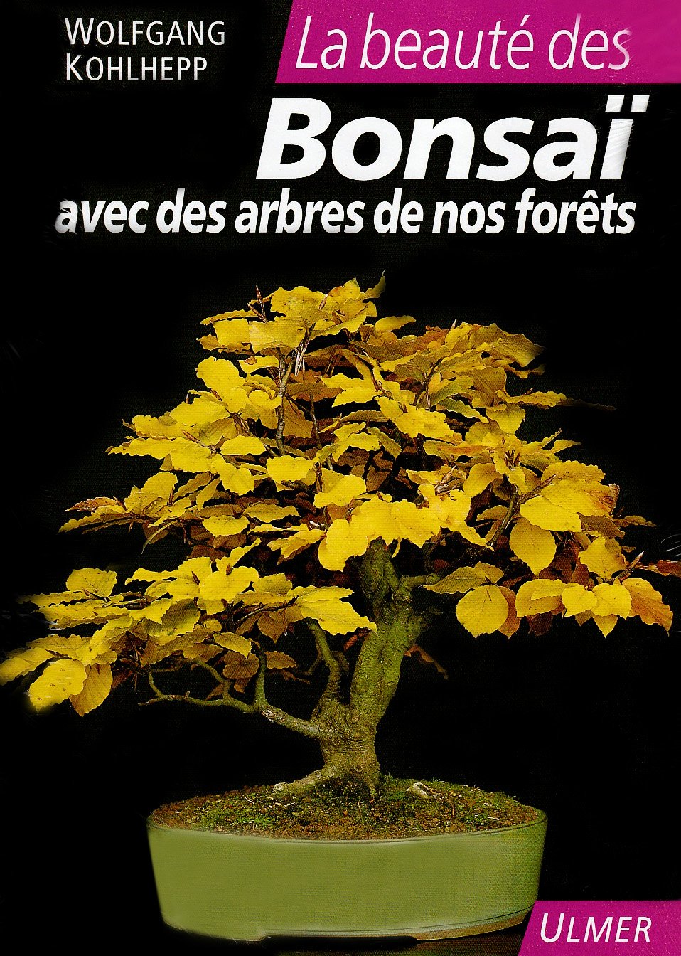 La beauté des Bonsaï: Avec des arbres de nos forêts book