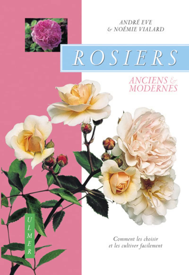 Rosiers anciens et modernes : comment les choisir: Comment les choisir et les cultiver facilement Garden & Plants
