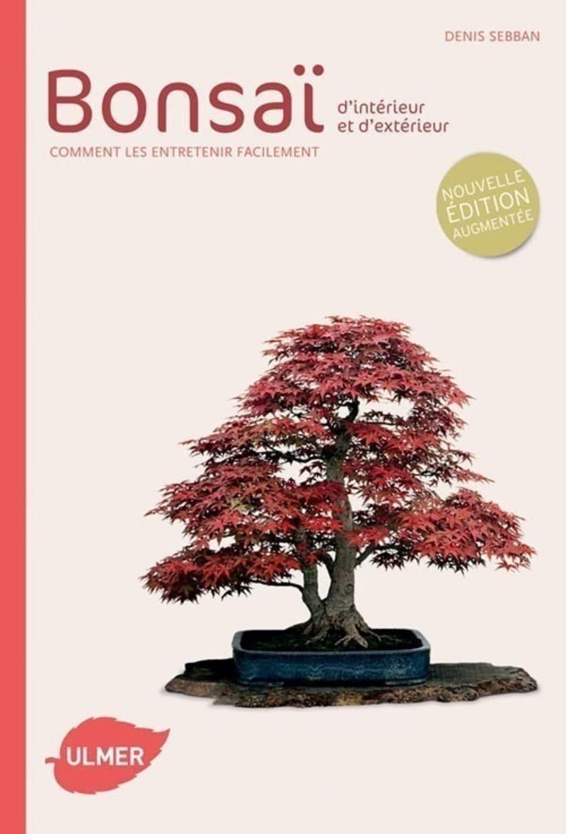 Bonsaï d'intérieur et d'extérieur (NE): Comment les entretenir facilement Garden & Plants