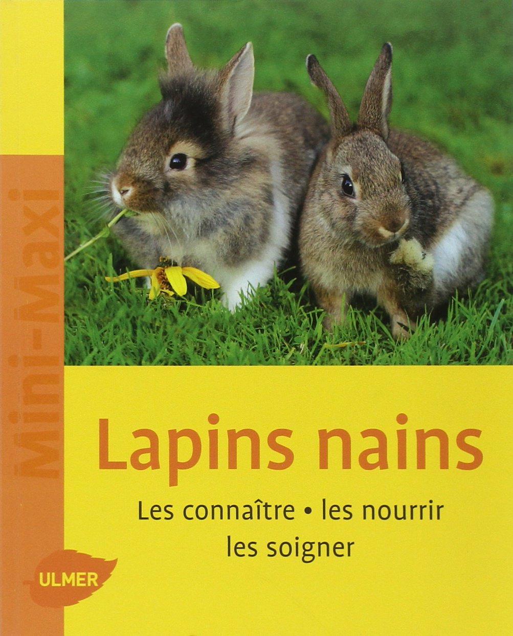 Lapins nains. Les connaître, les nourrir, les soigner (NE) book