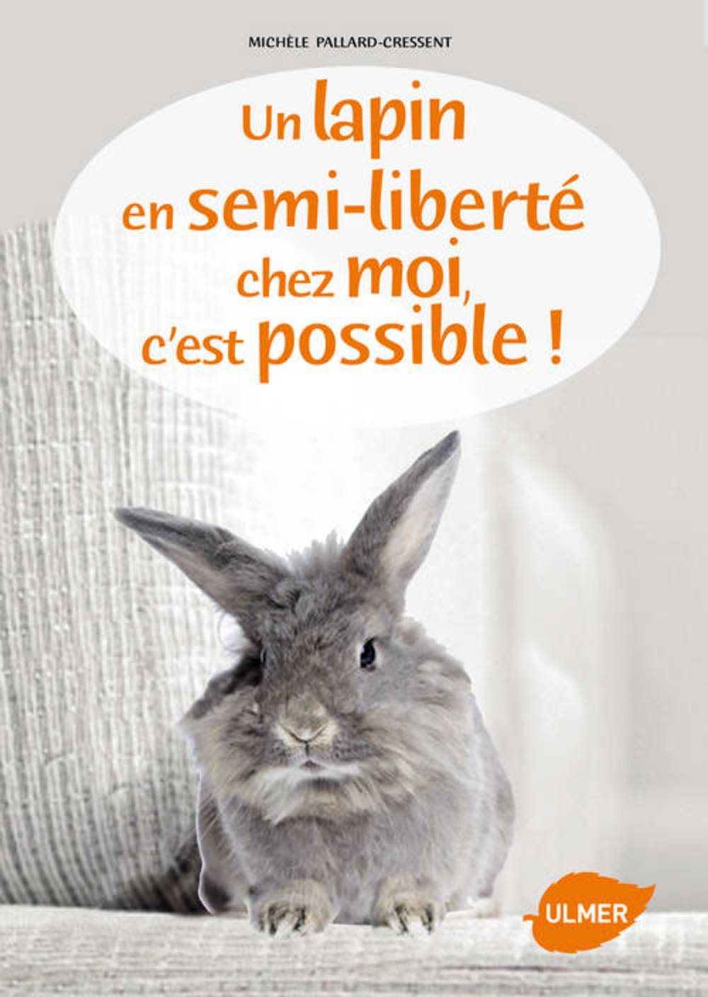 Un lapin en semi liberté chez moi c'est possible book
