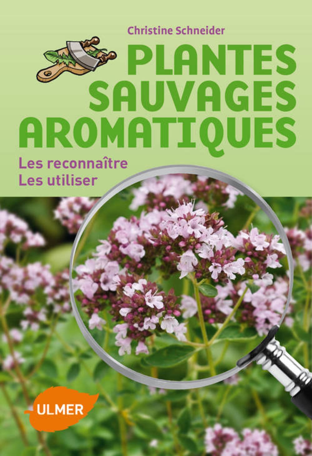 Plantes sauvages aromatiques. Les reconnaître, les utiliser book