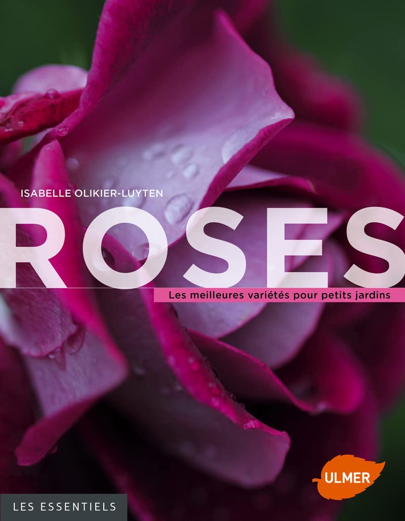 Roses, les meilleures variétés pour petits jardins Garden & Plants