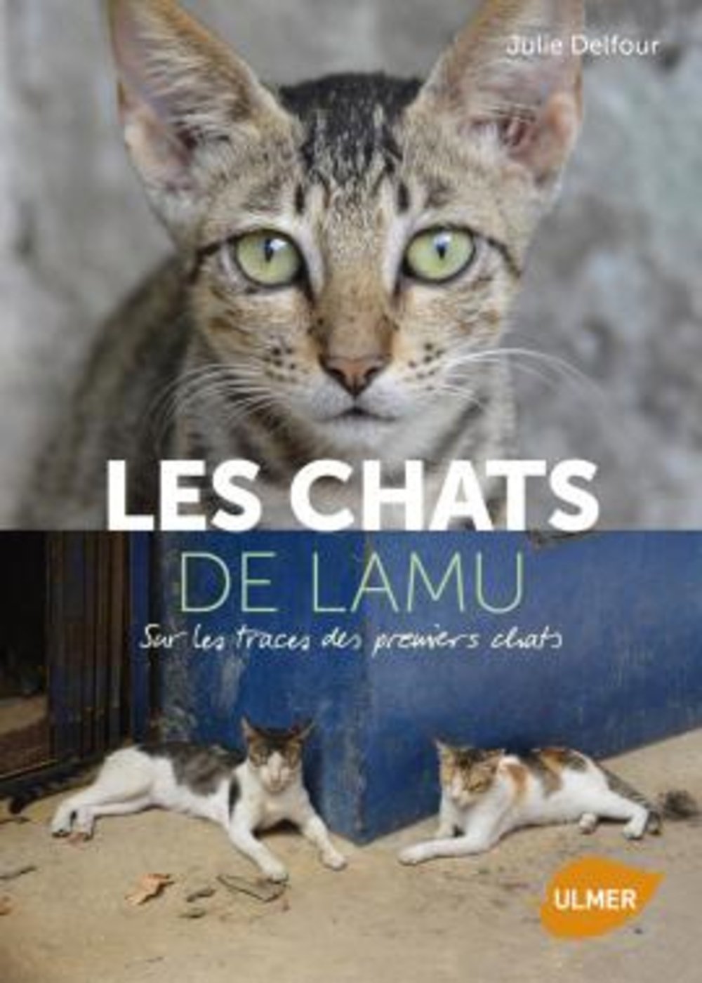 Les Chats de Lamu. Sur les traces des premiers chats book