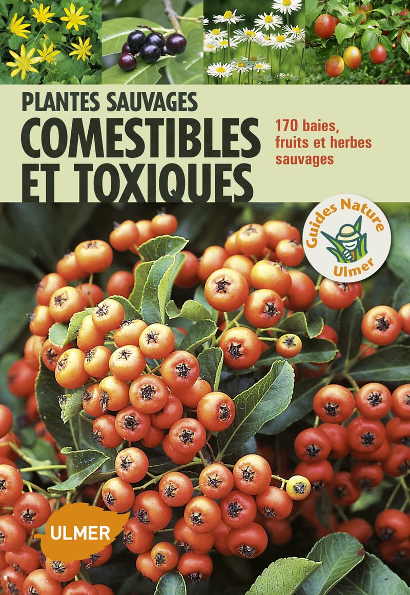 Plantes sauvages comestibles et toxiques Mathematics