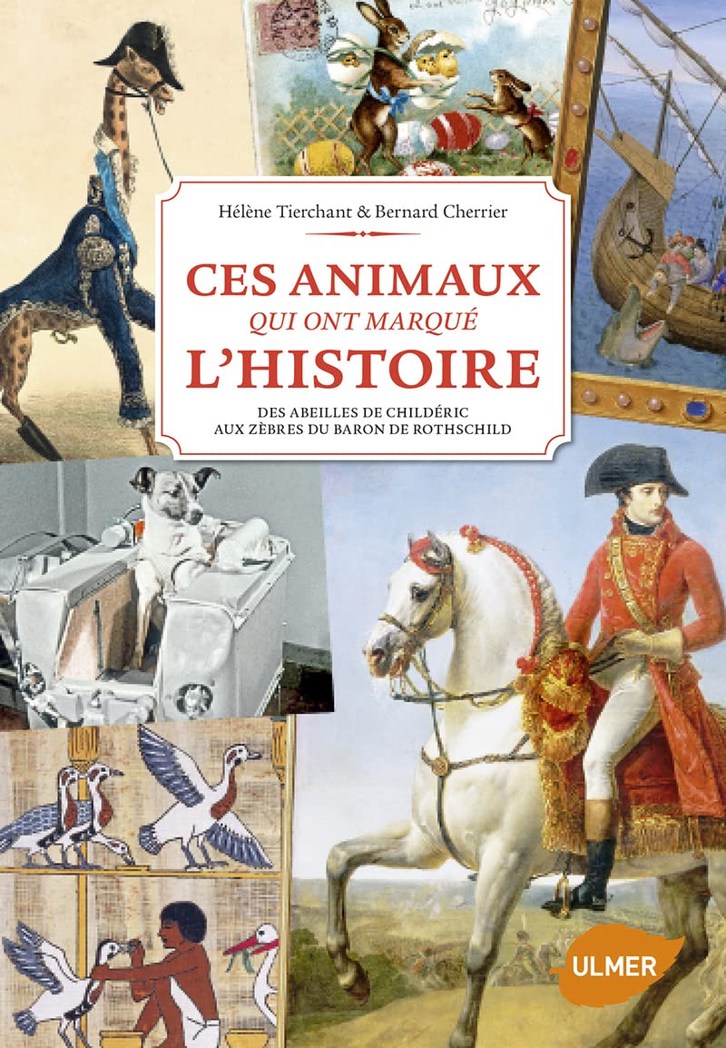 Les Animaux qui ont marqué l'histoire book