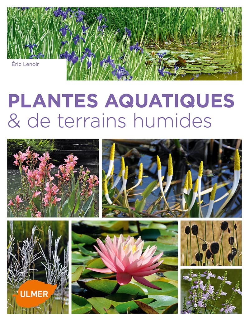 Plantes aquatiques & de terrains humides Garden & Plants