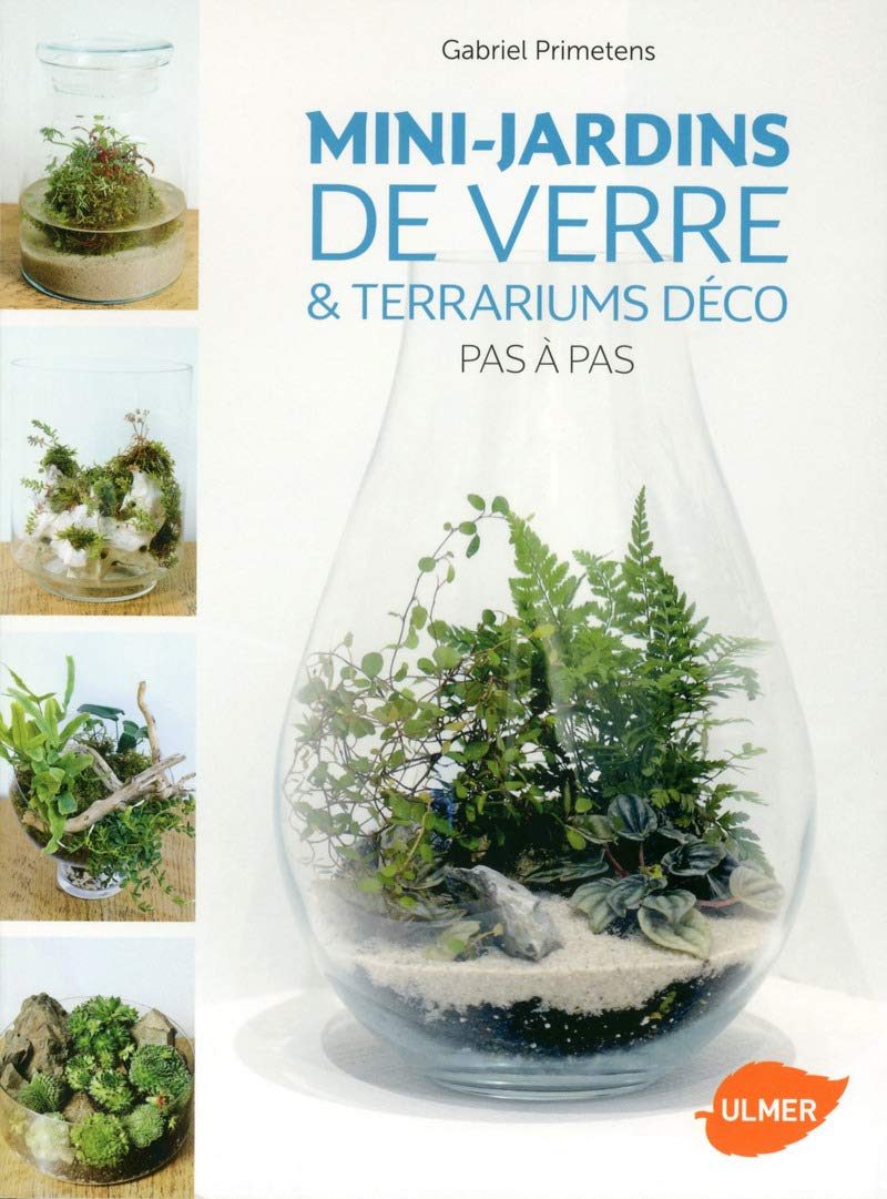 Mini-jardins de verre & Terrariums déco Pas à Pas book