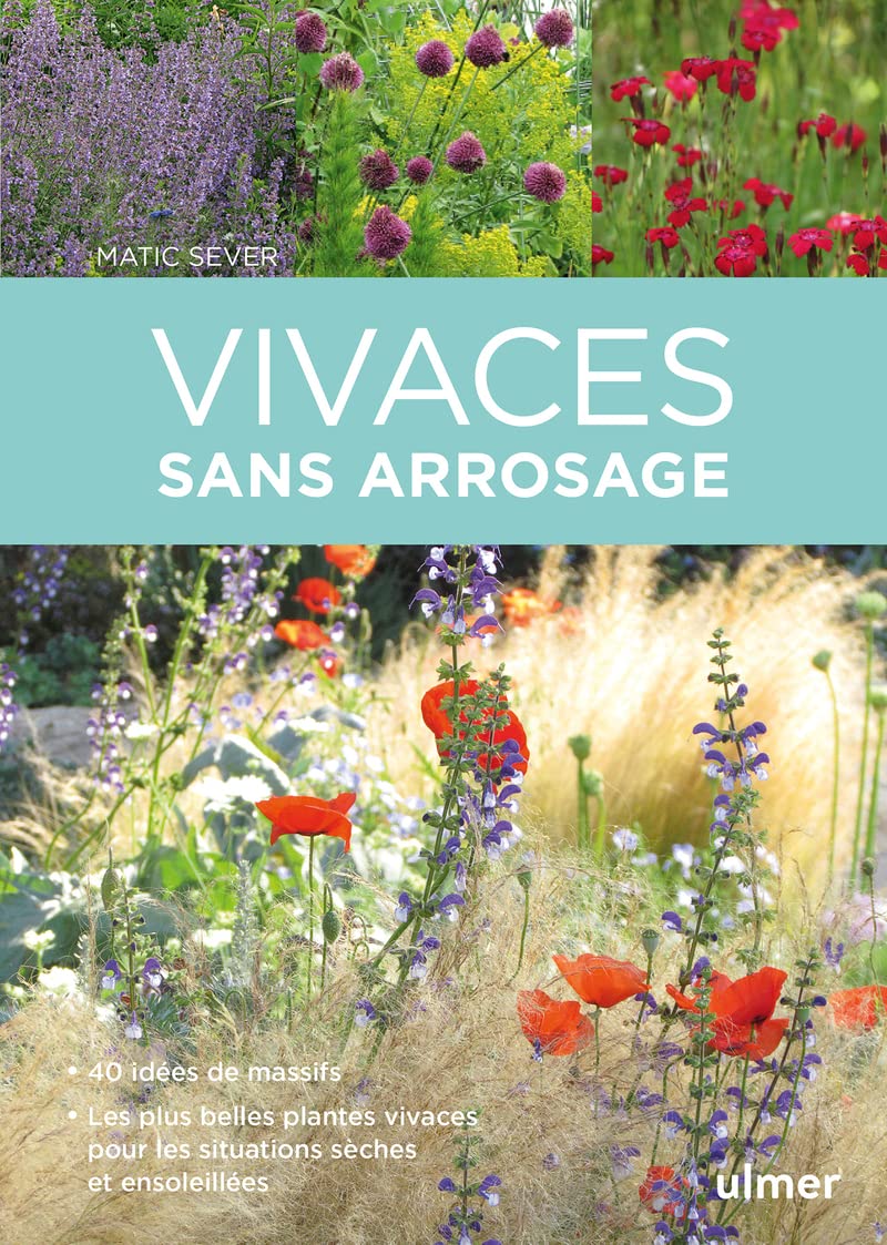 Vivaces sans arrosage: 40 idées de massifs. Les plus belles plantes vivaces pour les situations sèches et ensoleillés book