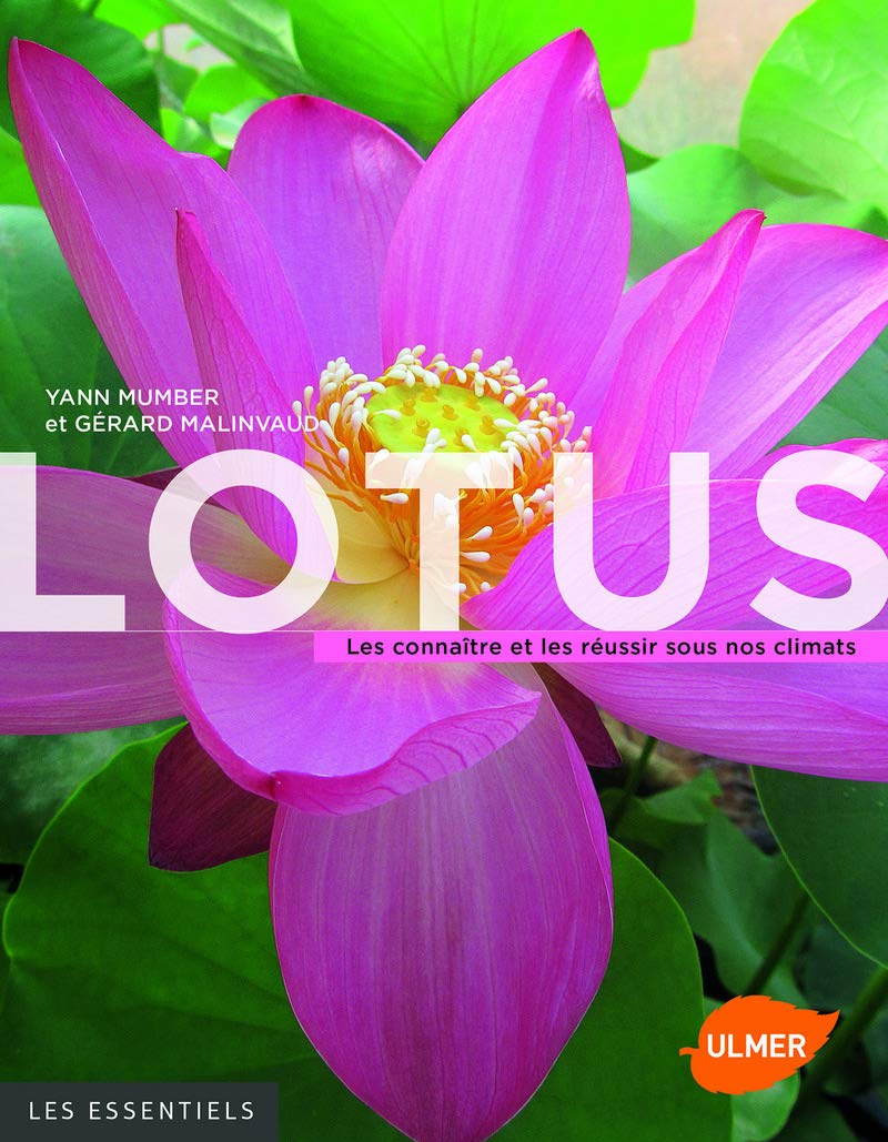 Lotus - Les connaître et les réussir sous nos climats book