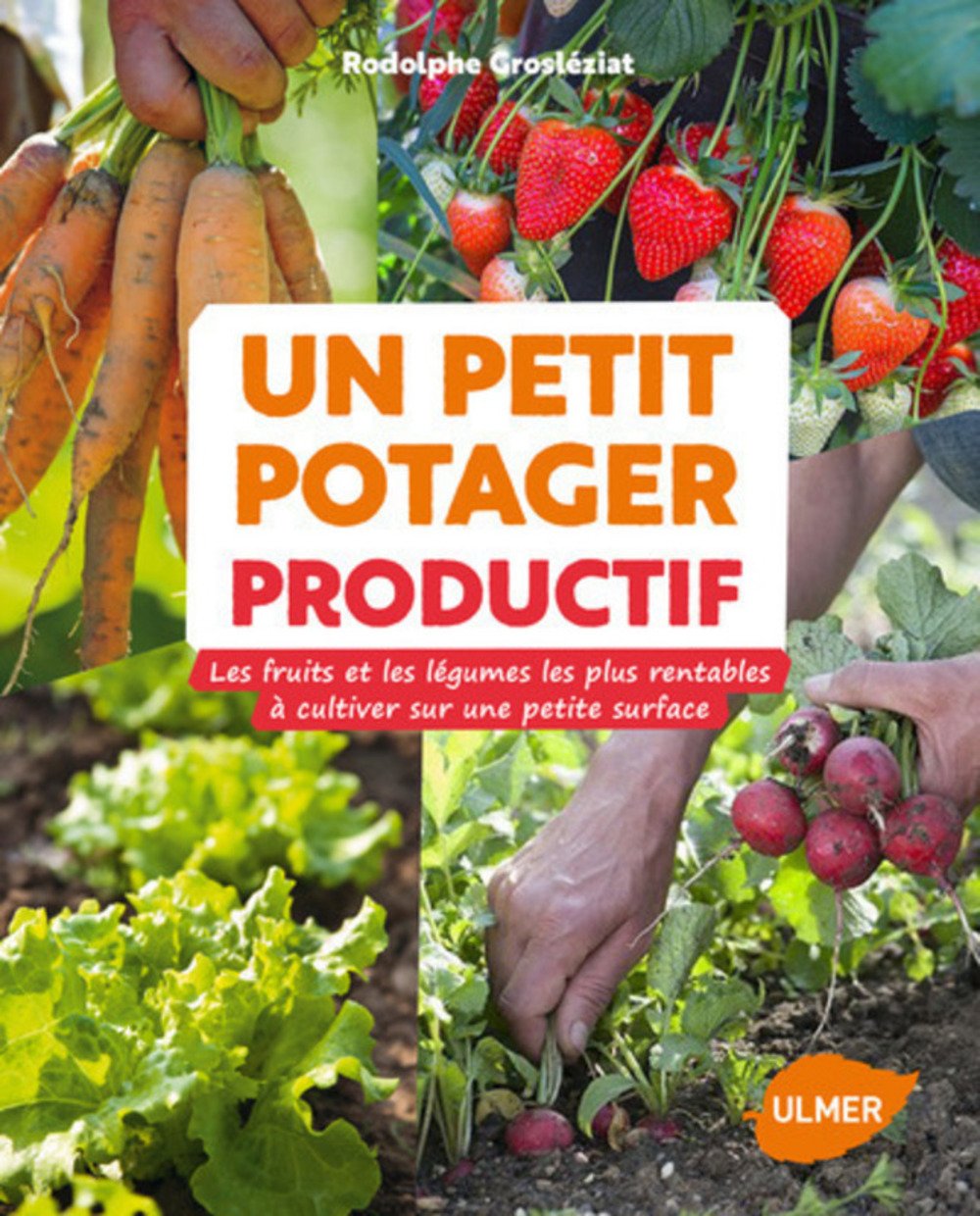 Un petit potager productif: Les fruits et les légumes les plus rentables à cultiver sur une petite surface Garden & Plants