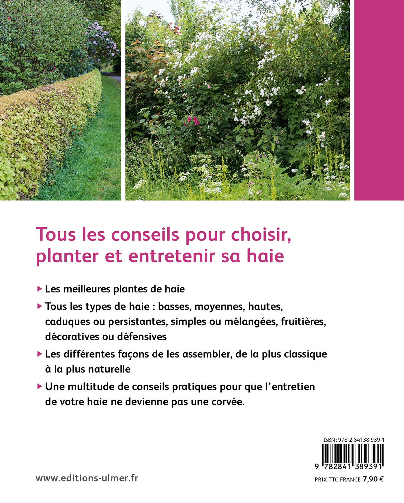 Quelle haie pour mon jardin ? Choix, plantation, entretien Garden & Plants