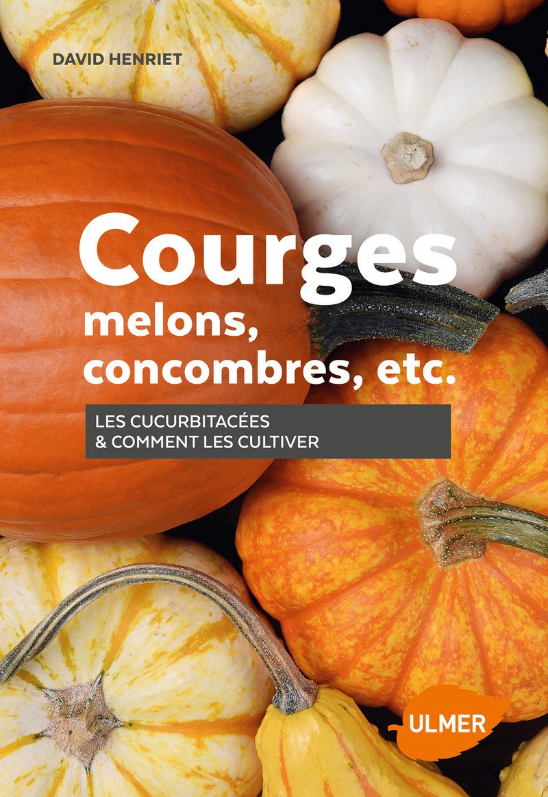Courges, melons, concombres, etc. - Les cucurbitacées & comment les cultiver Garden & Plants