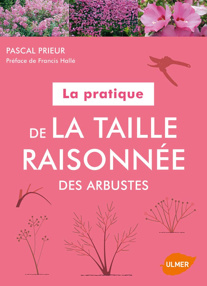 La pratique de la taille raisonnée des arbustes Garden & Plants
