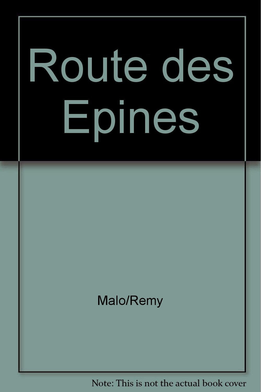 La route des épines book