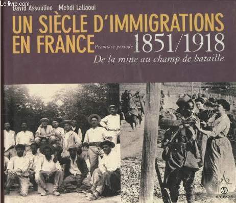 Un siècle d'immigrations en France. Vol. 1. De la mine au champ de bataille : 1851-1918 book