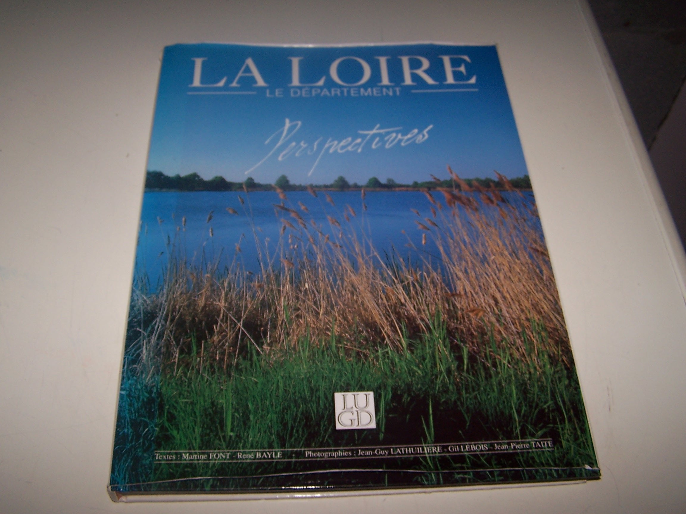 La Loire: Le département, perspectives Books