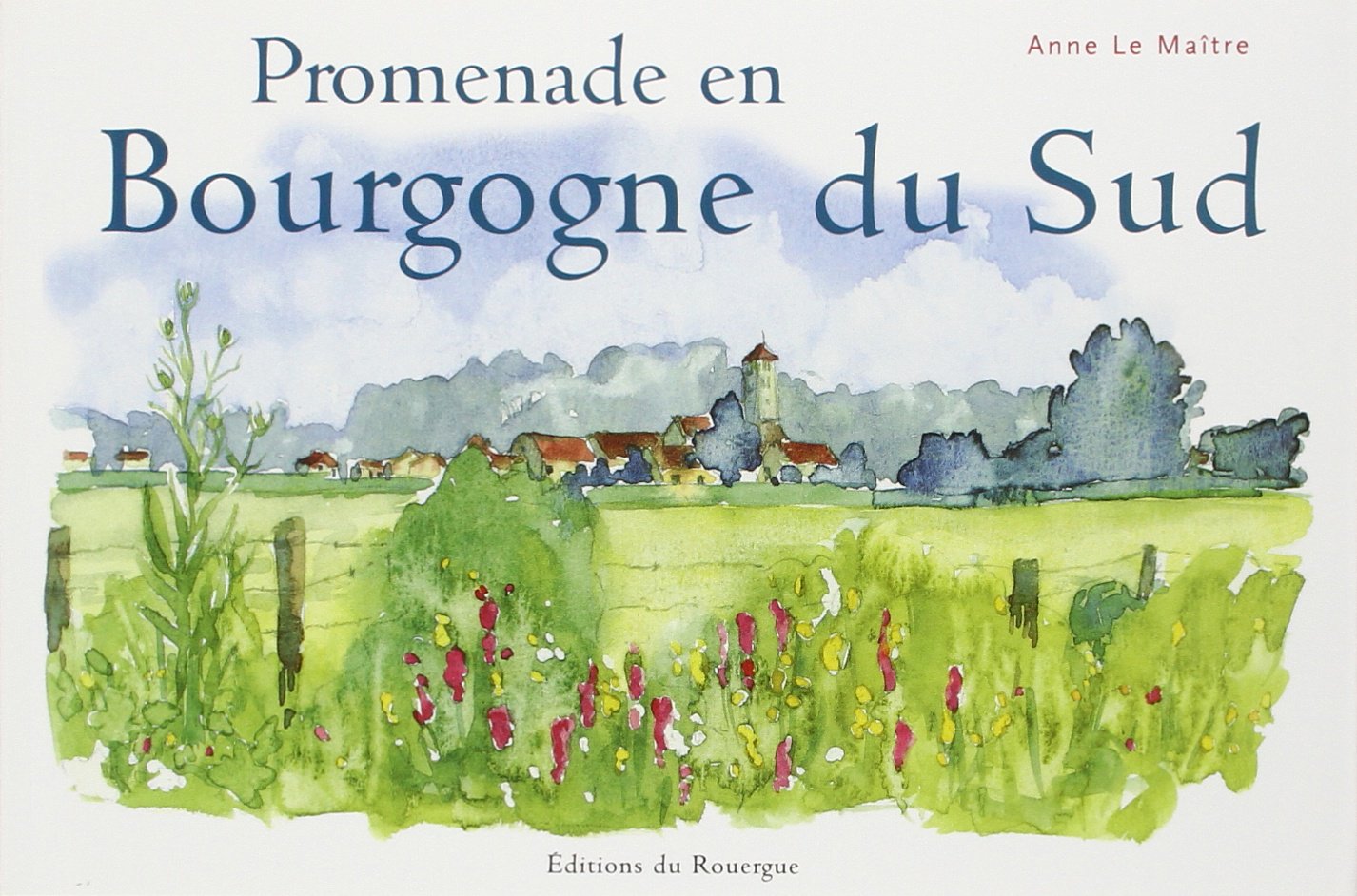 Promenade en Bourgogne du sud book