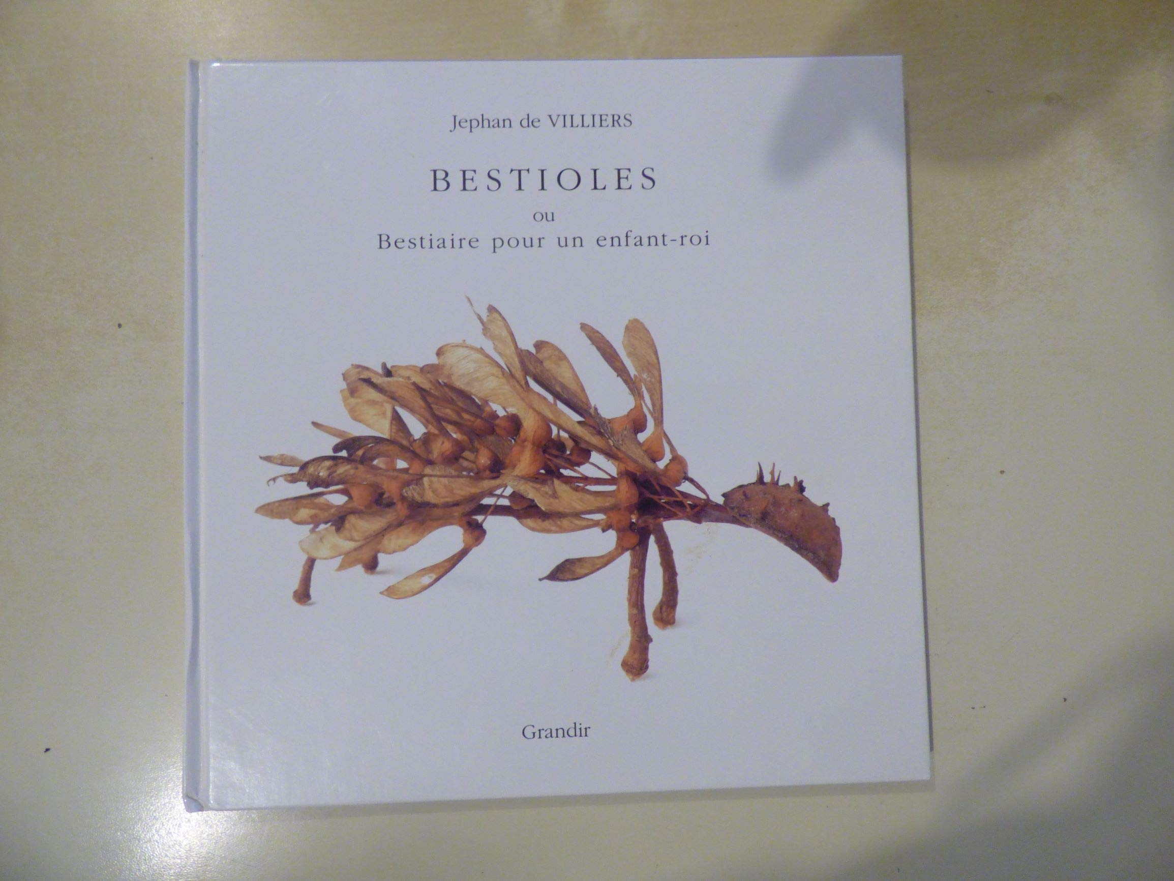 Bestioles ou Bestiaire pour un enfant-roi book