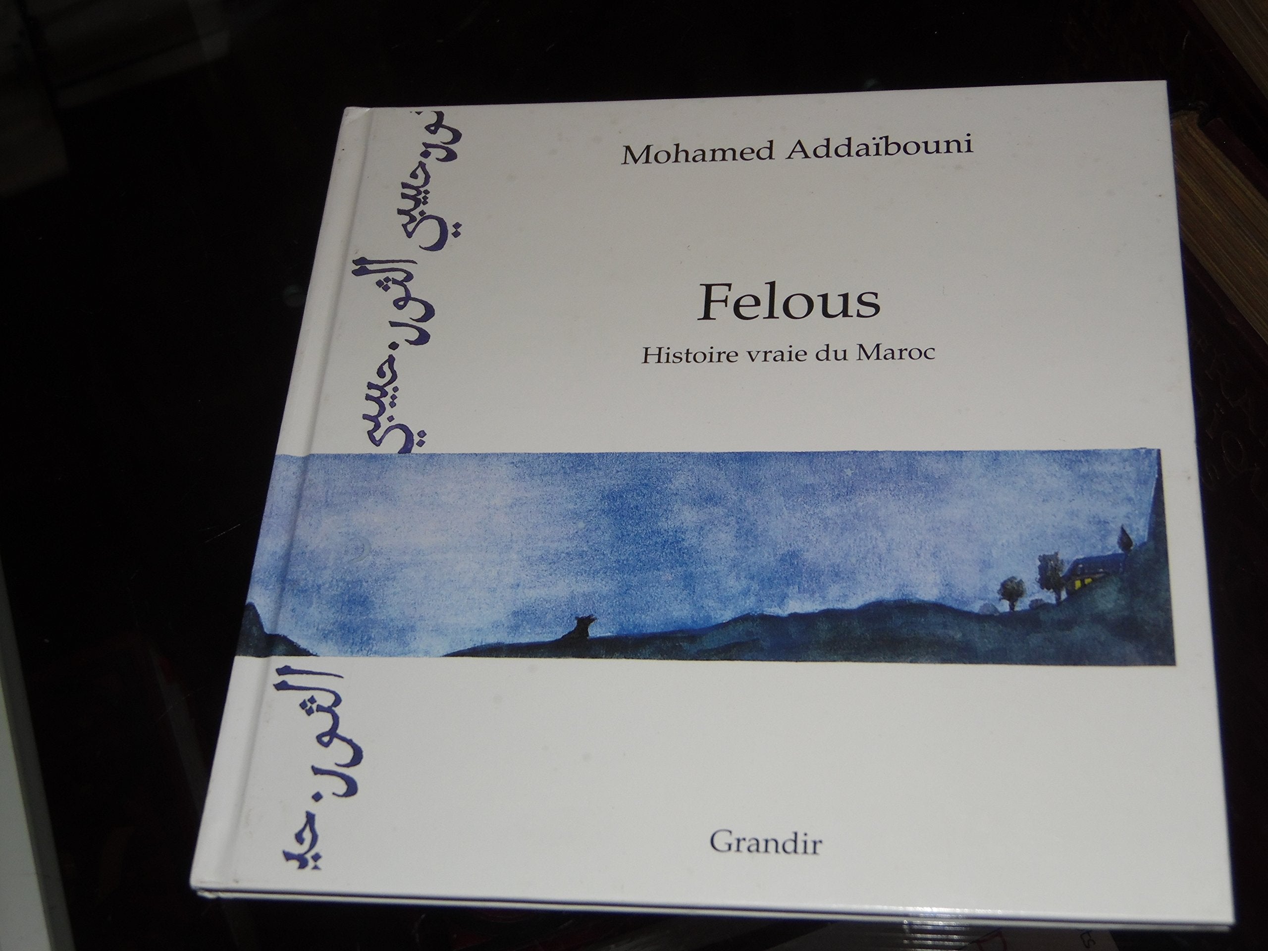 Felous, histoire vraie du Maroc book