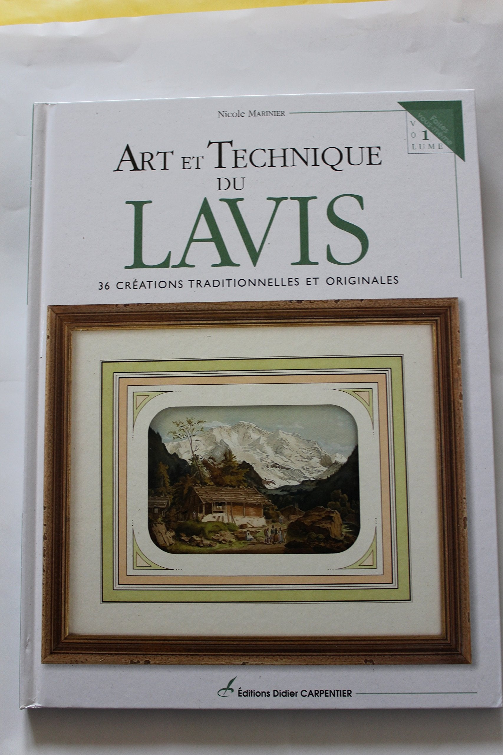 Art et technique du lavis: 36 créations traditionnelles et originales book