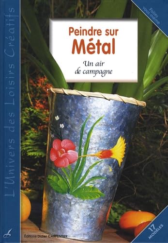 PEINDRE SUR METAL - UN AIR DE CAMPAGNE: Un air de métal Books