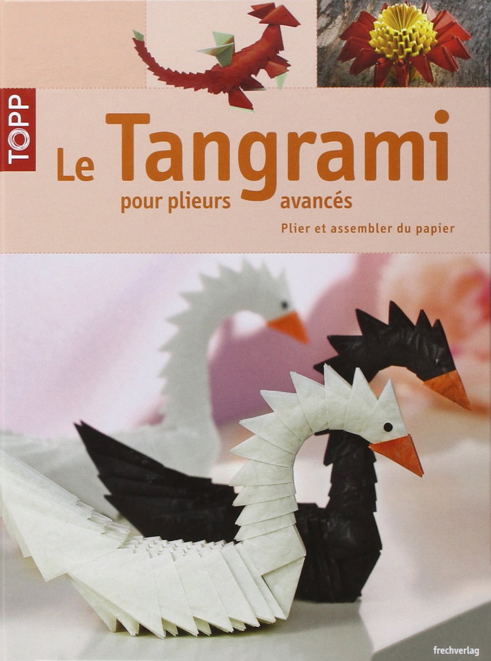 Le Tangrami pour plieurs avancés: Plier et assembler du papier book